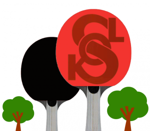 Vánoční turnaj: stolní tenis @ Sokolovna Libčice | Libčice nad Vltavou | Středočeský kraj | Česká republika