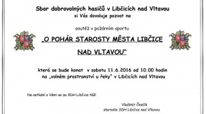 O pohár starosty města Libčice nad Vltavou @ libčická náplavka | Libčice nad Vltavou | Středočeský kraj | Česká republika