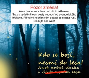 Stezka nočním lesem