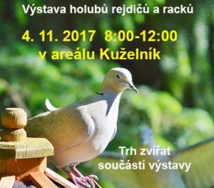 Výstava holubů a racků @ areál Na Kuželníku | Libčice nad Vltavou | Středočeský kraj | Česká republika