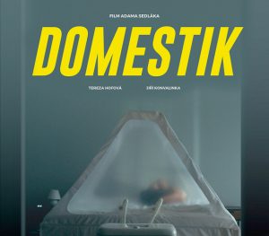 Kino Kotelna: Domestik @ Kino Kotelna