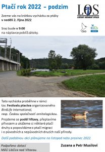 Ptačí rok 2022 - podzim: vycházka za ptáky @ Náplavka Libčice