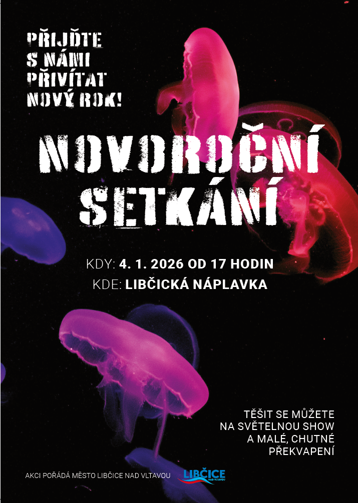 Novoroční setkání na náplavce - světelná show